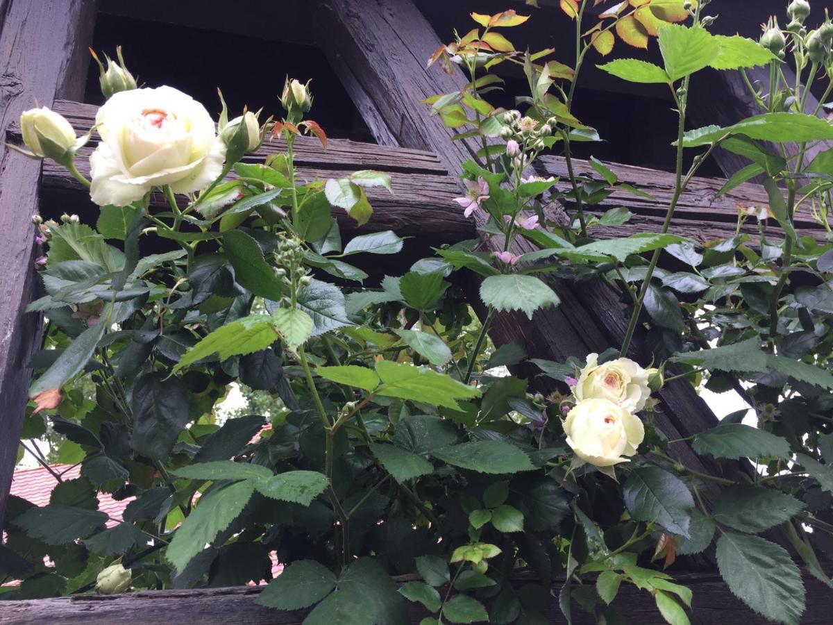 Bourgheim B&B Le Lodge מראה חיצוני תמונה